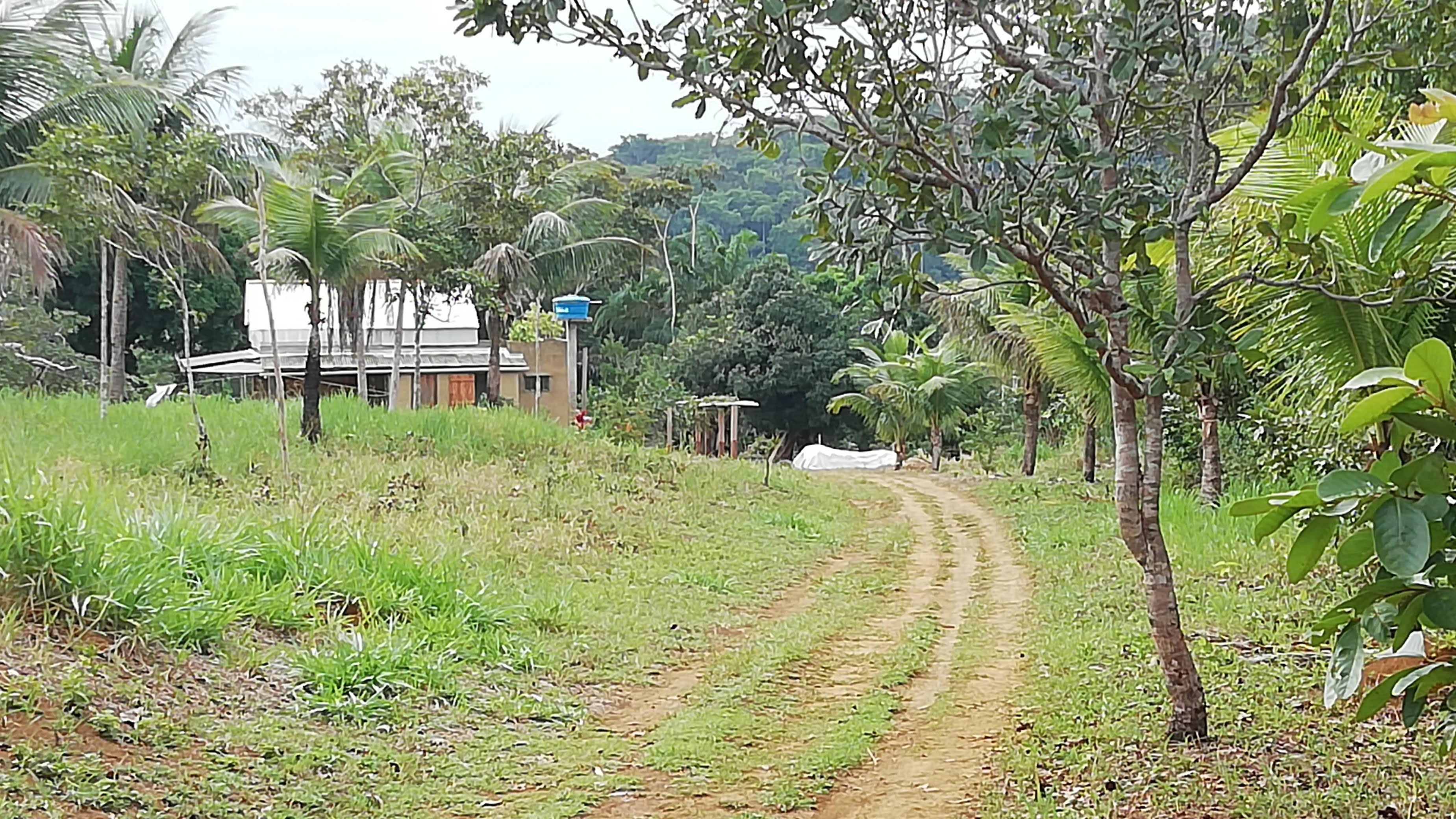 IMG_20200528_145706 (1).jpg